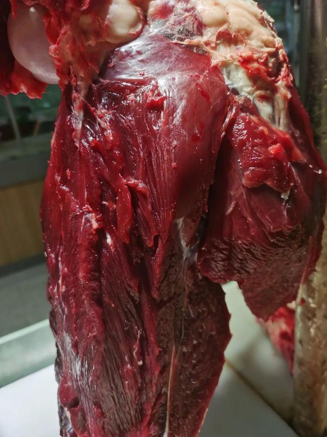 牛肉价格连续多月暴跌：商家惊呼多年未见养殖户称不如出去打工(图12)