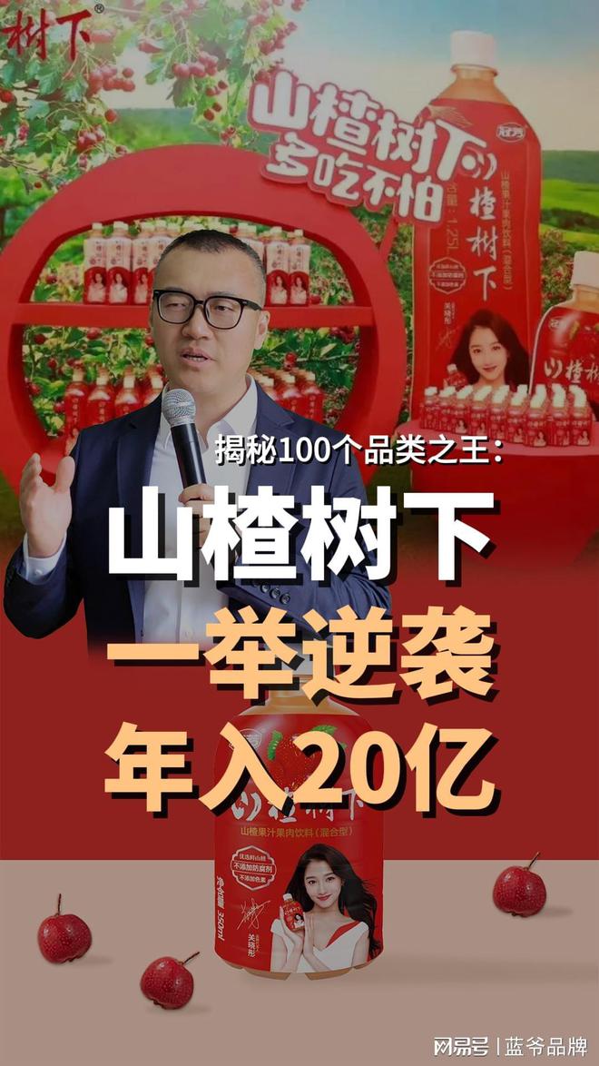 蓝爷说品牌：山楂树下年入20亿看老品类是如何突围的(图1)