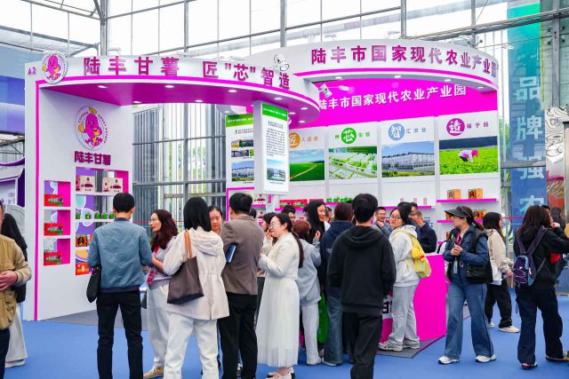 “薯”我最靓！陆丰甘薯全产业链亮相广东种博会(图1)